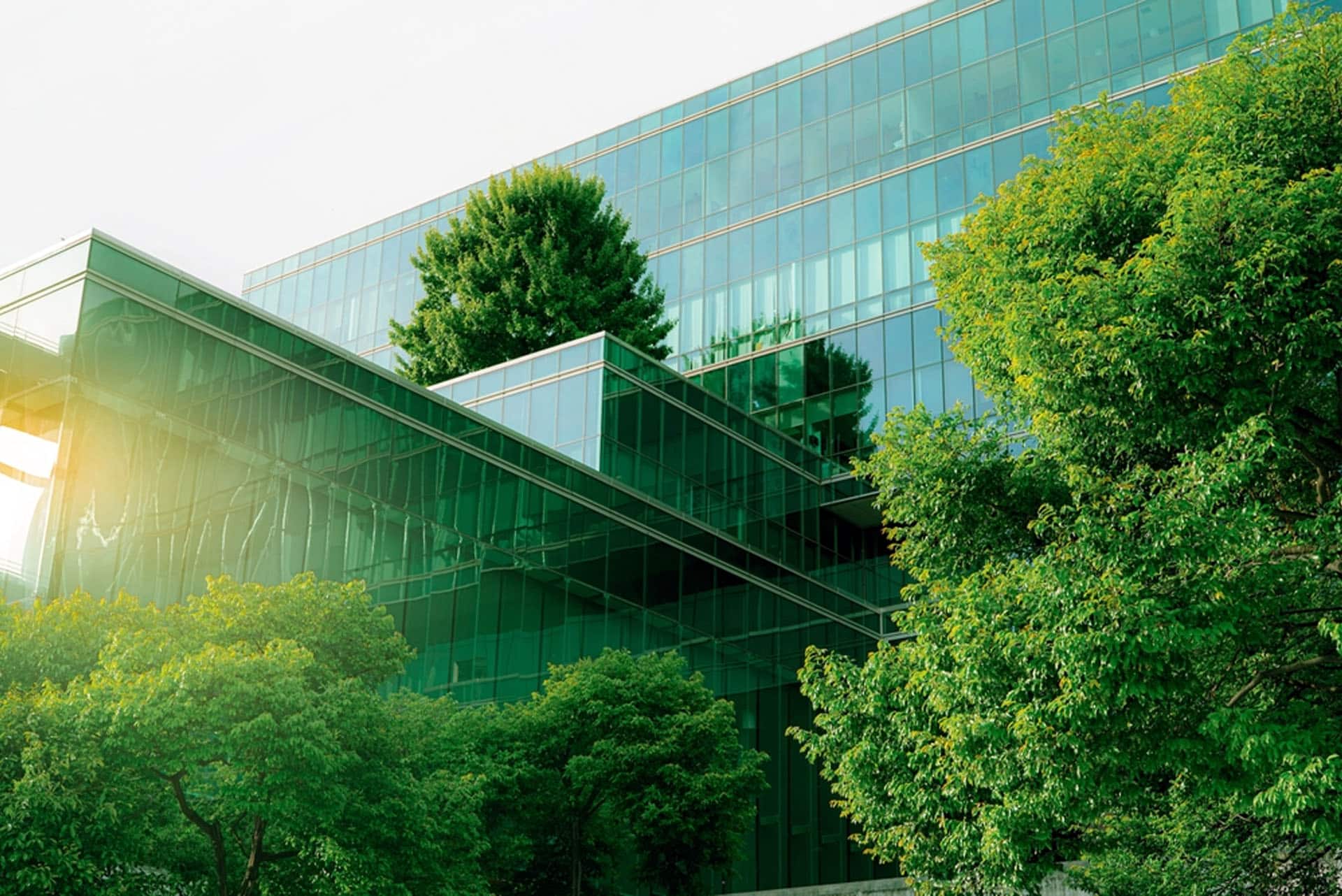 Green IT Solutions Driving Sustainability in Tech